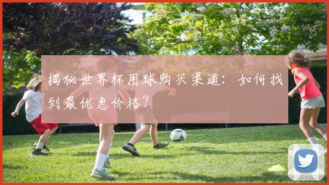 揭秘世界杯用球购买渠道：如何找到最优惠价格？