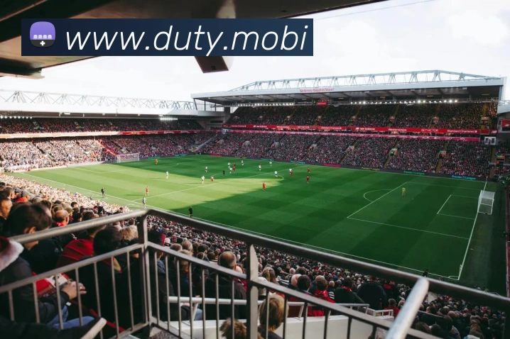 云开体育app官网入口app服务体系